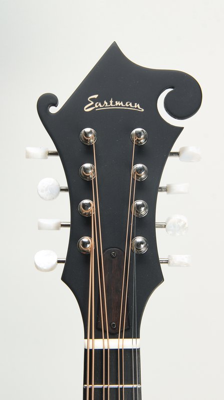 Eastman MDA315 Mandola #6