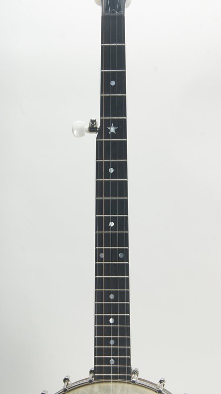 Deering Vega Senator (ca. 2006) #6