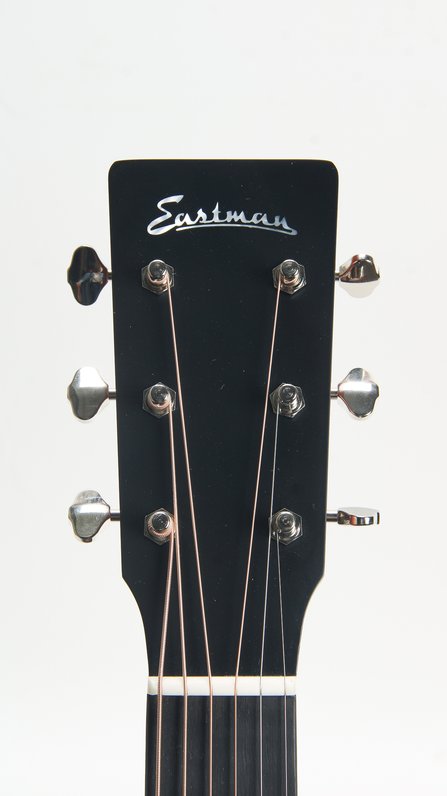 Eastman E1D #6