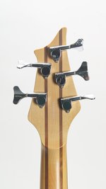 Traben Array Limited 5 String Bass (c.2005) (SKU: 32187) 32187