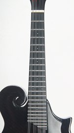 New Millennium Circle Strings Carbon Fiber Kevlar F Style Mandolin (2019) (SKU: 31043) 31043