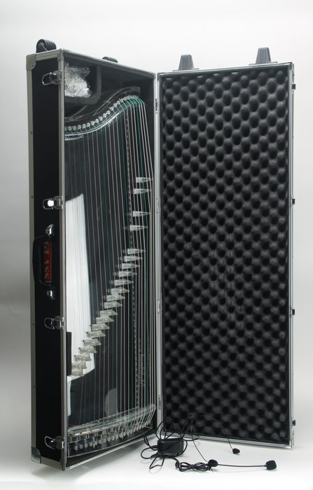 Meideal Musical Instruments Electric Guzheng #6