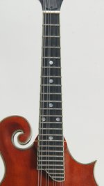 Eastman MD515/V-AMB (SKU: 32397) 32397