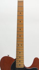Fender Thinline Telecaster MIM Neck (ca.2020) (SKU: 32457) 32457