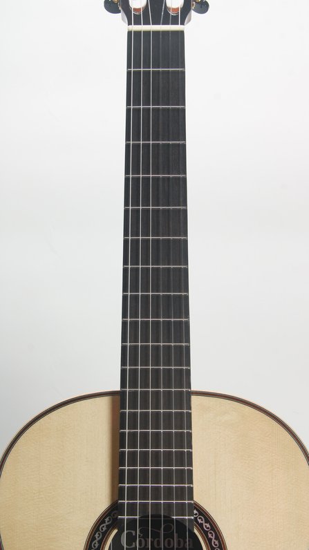 Cordoba C12 SP/RW #6