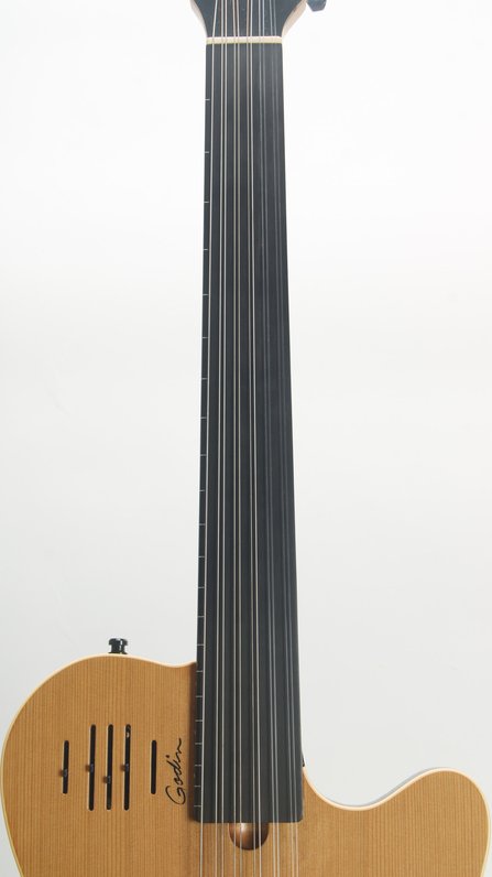 Godin A11 Glissentar (2005) #6