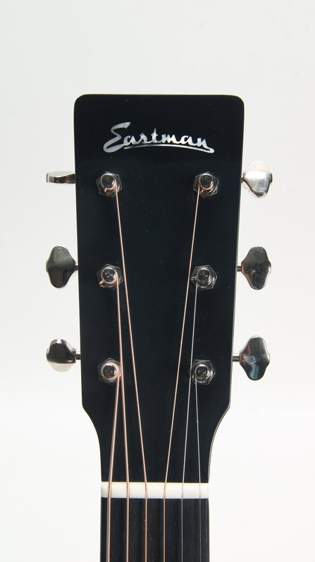 Eastman E1OM-DLX #5