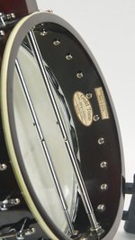 Gold Tone WL-250 Fretless (SKU: 32441) 32441