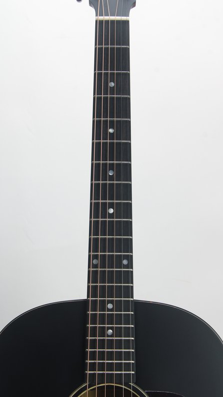 Eastman E1SS-SB #6