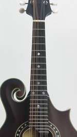 Eastman MD314 (SKU: 32064) 32064