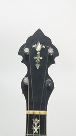 Washburn Style 445 (SKU: 29647) 29647