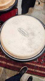 Toca Synergy Congas *USED* (SKU: 31467) 31467