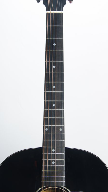 Eastman E1SS-DLX #6