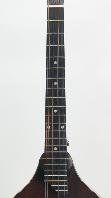 Eastman MDO305 #6
