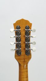 Johnson Resonator Mandolin (SKU: 32770) 32770