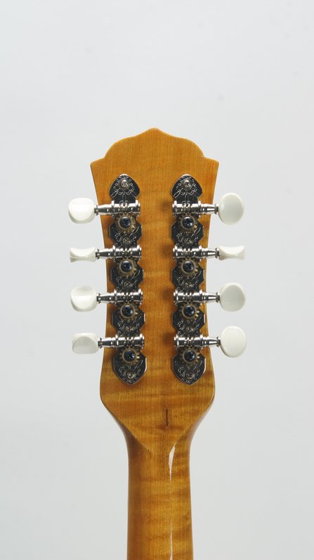 Johnson Resonator Mandolin #6