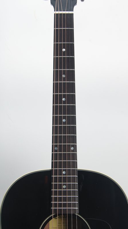 Eastman E6 #6