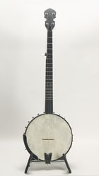 Gold Tone WL-250 Conversion (SKU: 32330) 32330