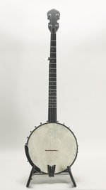 Gold Tone WL-250 Conversion (SKU: 32330) 32330