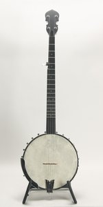 Gold Tone WL-250 Conversion