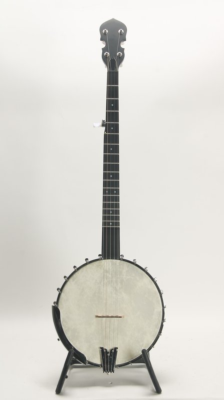 Gold Tone WL-250 Conversion #1