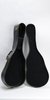 Parlor Style Guitar Case (SKU: 21178) 21178