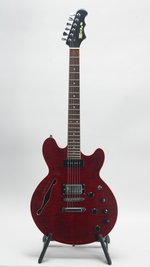 Fret King Elise GG Signature (SKU: 32240) 32240