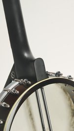 Gold Tone WL-250 Conversion (SKU: 32330) 32330