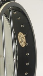 Gold Tone WL-250 Conversion (SKU: 32330) 32330
