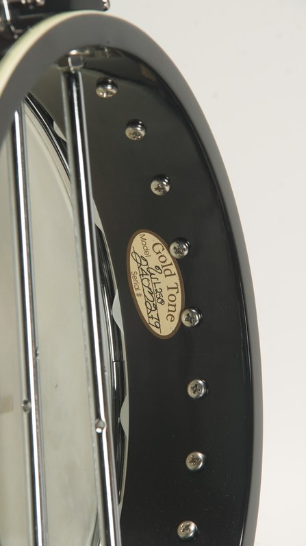 Gold Tone WL-250 Conversion #6