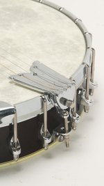 Gold Tone WL-250 Conversion (SKU: 32330) 32330