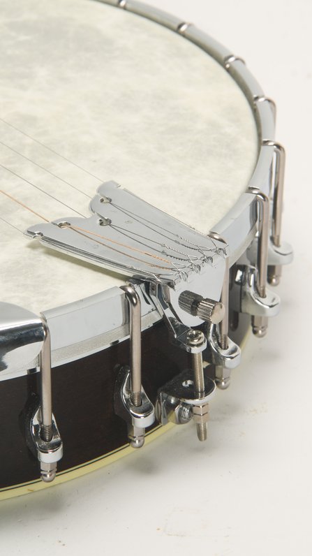 Gold Tone WL-250 Conversion #7