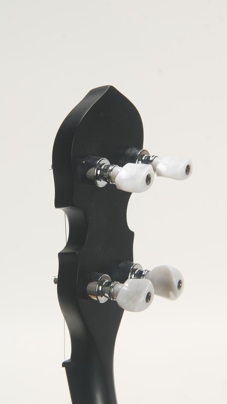 Gold Tone WL-250 Conversion #8