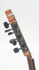 Cordoba C7 Cedar (new) (SKU: 32668) 32668