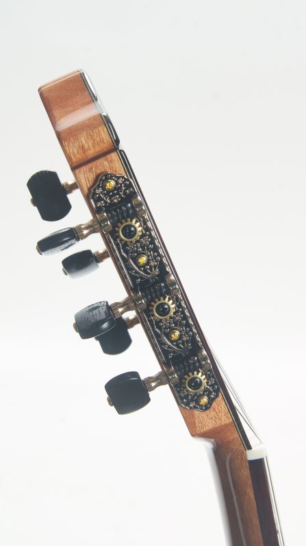 Cordoba C7 Cedar (new)  #7
