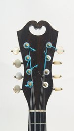 Vinaccia Bowlback Mandolin (SKU: 31900) 31900