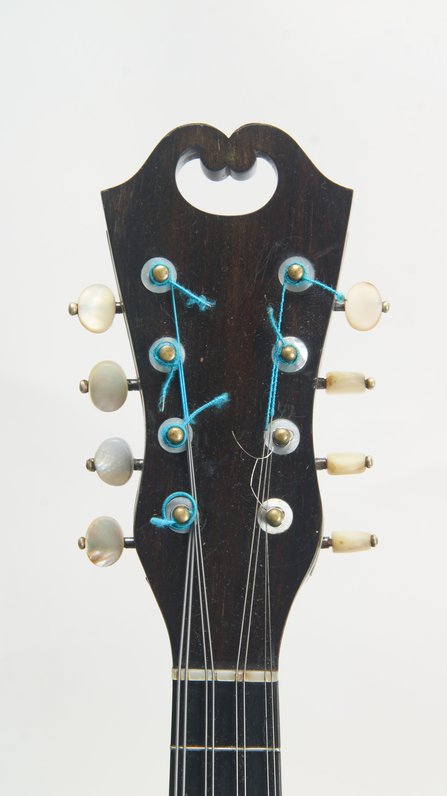 Vinaccia Bowlback Mandolin (1899 #7