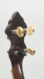 Washburn Style 445 (SKU: 29647) 29647