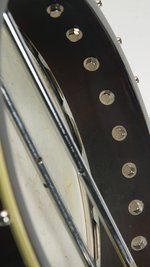 Gold Tone  WL-250 Conversion (SKU: 32451) 32451