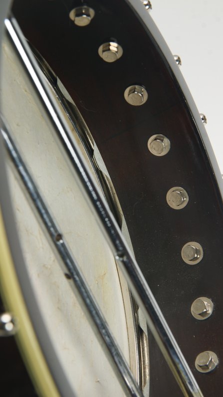 Gold Tone WL-250 Conversion #7