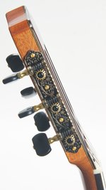 Cordoba Stage Edge Burst (SKU: 32080) 32080