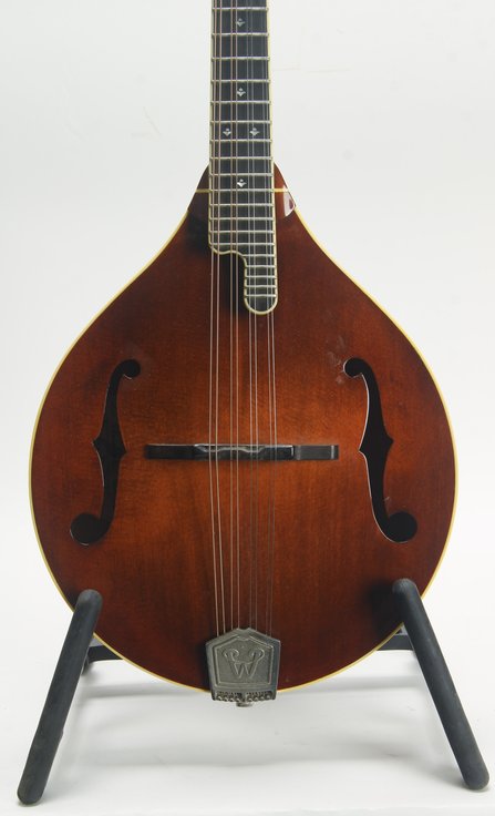 Weber Yellowstone A Mandolin (2012) #7