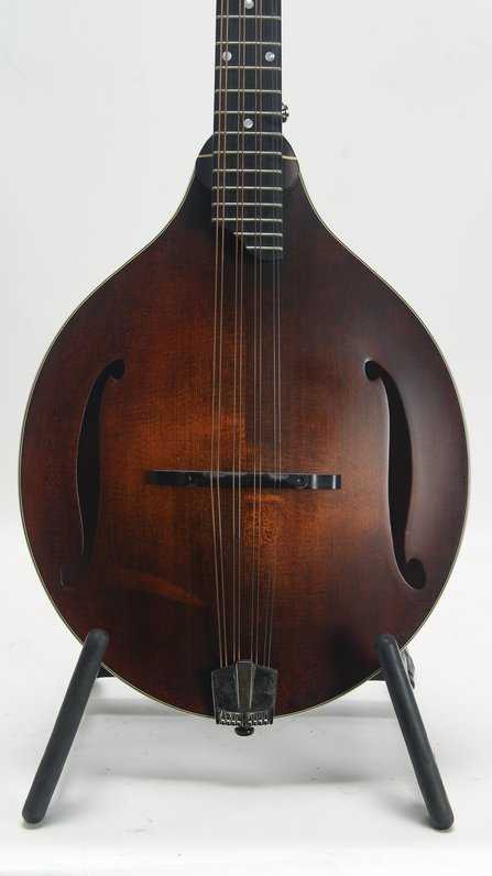 Eastman MDO305 #7