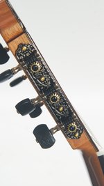 Cordoba C7 Cedar (new) (SKU: 32667) 32667