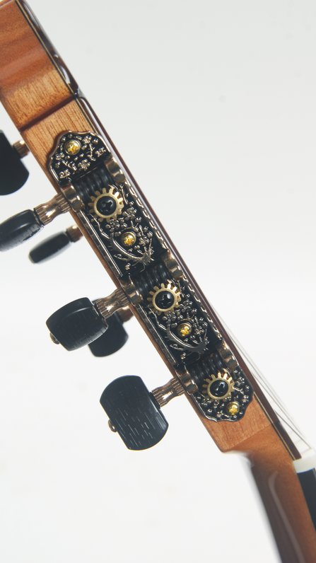 Cordoba C7 Cedar (new)  #7
