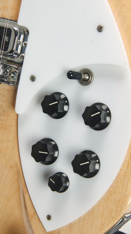 Rickenbacker 360/12 Mapleglo (2003) #9