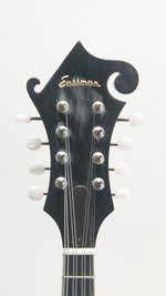 Eastman MD515/V-AMB (SKU: 32397) 32397