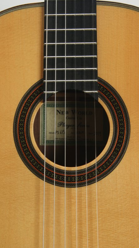 New World Guitar Co. Player Series PS615 SP/RW 615mm (2019) #8