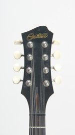 Ben Pearce "Outlier" Custom Electric Mandolin (SKU: 24744) 24744