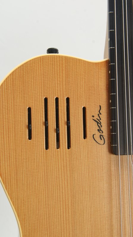 Godin A11 Glissentar (2005) #8